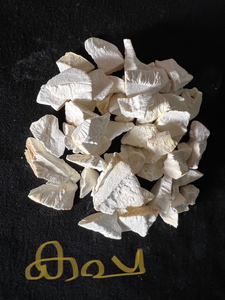 Dried Tapioca